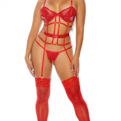 FORPLAY Double Strapped Bustier Set Red LINGERIE