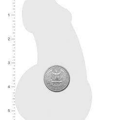 PASTEASE Penis: Holographic Silver Dick ACCESSORIES