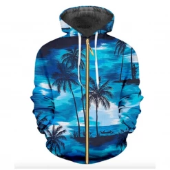 RAVELAND BLUE SKY ZIPPER HOODIE