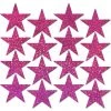 PASTEASE Body Minis: 16 Mini Hot Pink Glitter Stars Nipple & Body Pasties ACCESSORIES